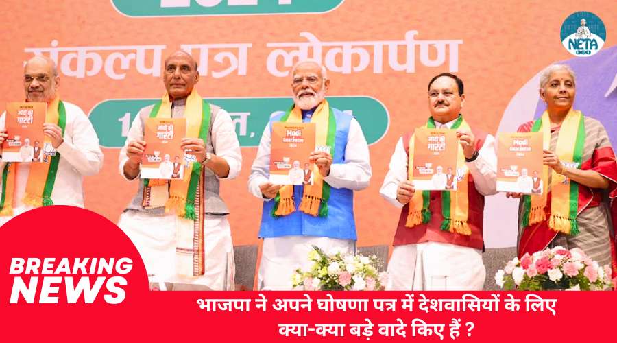 भाजपा ने अपने घोषणा पत्र में देशवाशियों के लिए क्या-क्या बड़े वादे किए हैं?